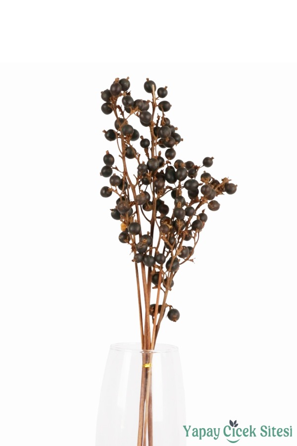 Doğal Çiçek Kuru Böğürtlen Dalı - 3