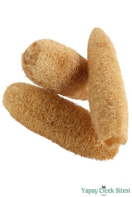 Doğal Tropikal Luffa Kuru Çiçek 3lü - 2