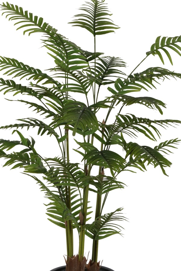 Gri Fiber Saksıda 3 Gövdeli Yapay Areka Palmiye Ağacı 190 cm - 3