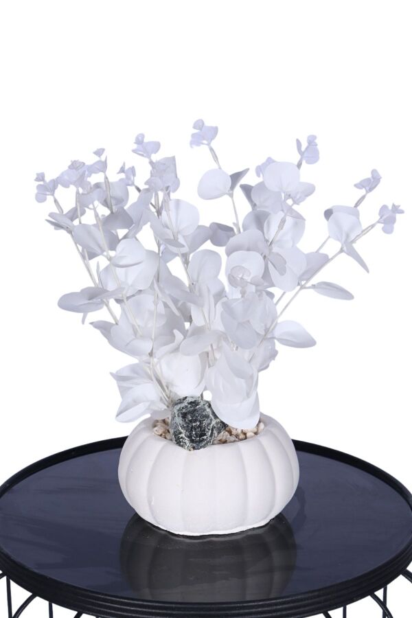 Küçük Kabak Saksıda Yapay Beyaz Okaliptus Şöleni 30 cm - 1