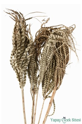 Kuru Çiçek Doğal Yılan Örgü Palm Snake Stems - Yapay Çiçek Sitesi