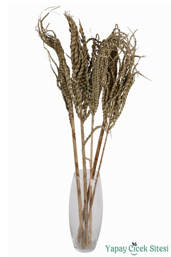 Kuru Çiçek Doğal Yılan Örgü Palm Snake Stems - 2