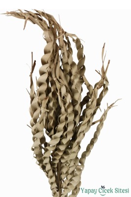 Kuru Çiçek Doğal Yılan Örgü Palm Snake Stems - 3