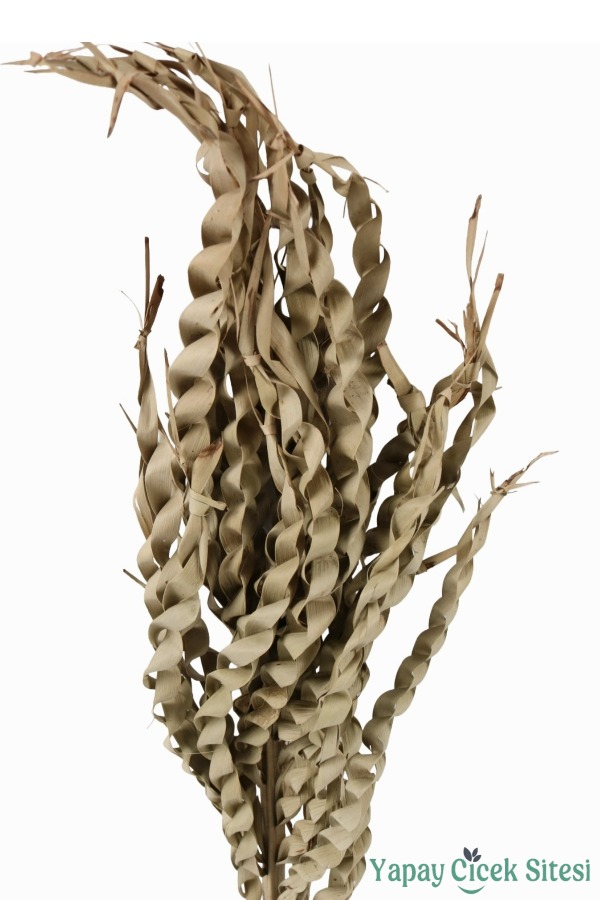 Kuru Çiçek Doğal Yılan Örgü Palm Snake Stems - 3