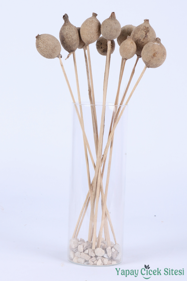 Kuru Çiçek Halo Kapsül 28 Cm 10lu - 3