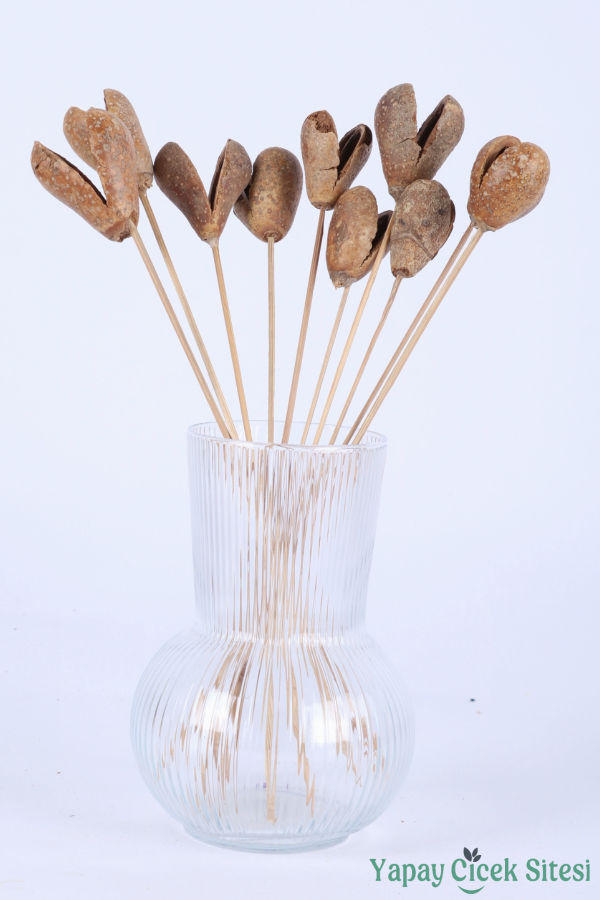 Kuru Çiçek Meyve (Fruit) 45 Cm 10lu - 2