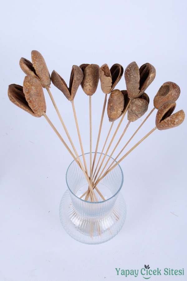 Kuru Çiçek Meyve (Fruit) 45 Cm 10lu - 3