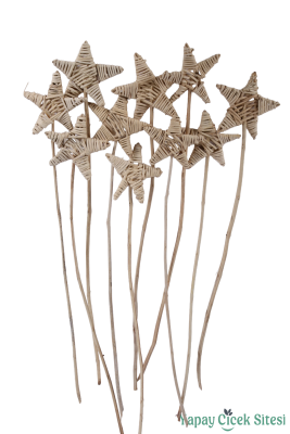 Kuru Çiçek Rattan Lata Yıldızı 55 Cm 10lu - Yapay Çiçek Sitesi