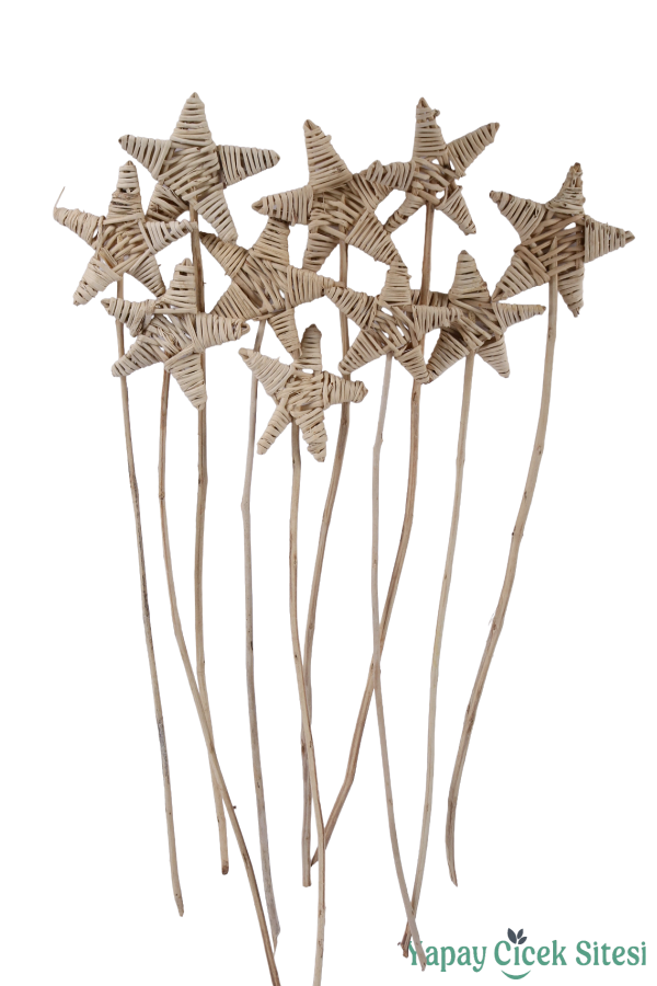 Kuru Çiçek Rattan Lata Yıldızı 55 Cm 10lu - 1