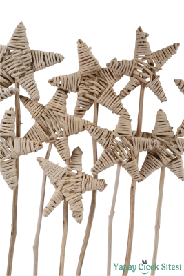 Kuru Çiçek Rattan Lata Yıldızı 55 Cm 10lu - 2