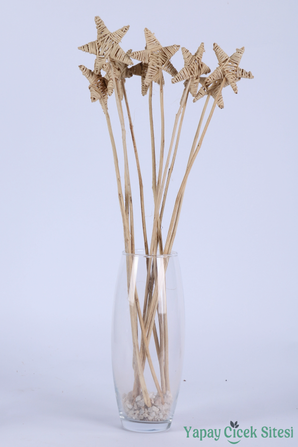 Kuru Çiçek Rattan Lata Yıldızı 55 Cm 10lu - 3