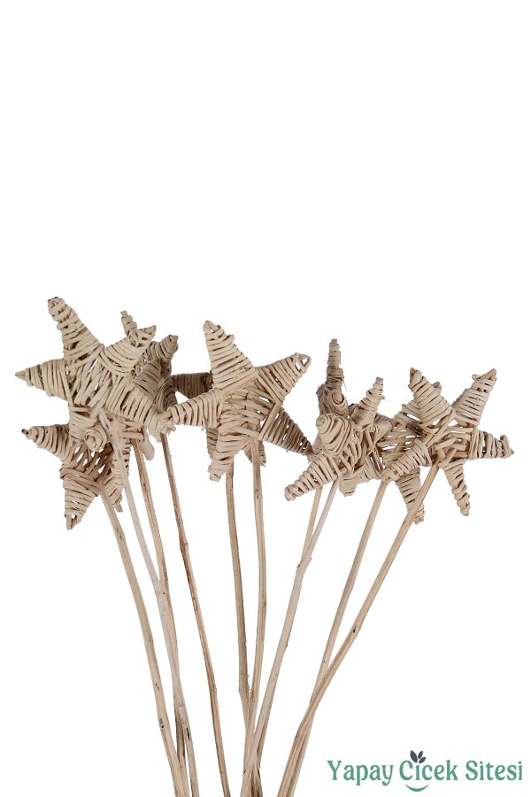 Kuru Çiçek Rattan Lata Yıldızı 55 Cm 10lu - 4