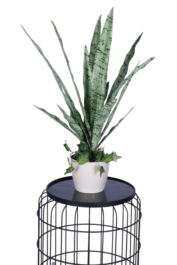 Lüks Yapay Kılıç Bitkisi Yeşil 70 cm - 2