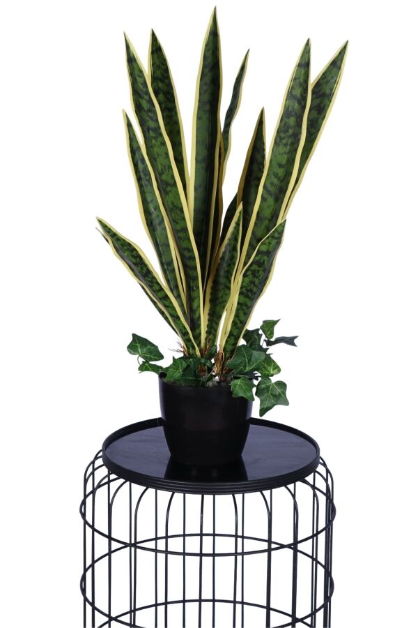 Lüks Yapay Kılıç Bitkisi Yeşil-Sarı 70 cm - 2