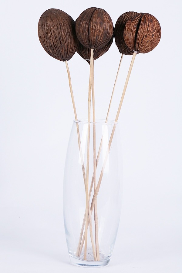 Mintola Ball Kuru Çiçek 40 Cm 10 Adet - 1