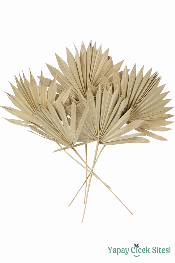 Palmiye Yaprağı 5 Adet 40 cm - 1