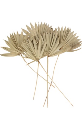 Palmiye Yaprağı 5 Adet 40 cm - 2