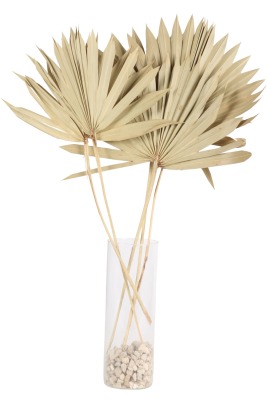 Palmiye Yaprağı 5 Adet 40 cm - 3