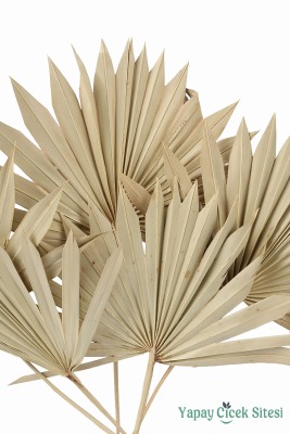 Palmiye Yaprağı 5 Adet 40 cm - 4