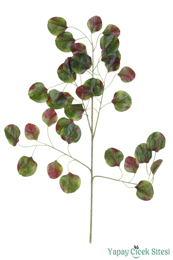 Yapay Okaliptüs Ağacı Dalı 65 Cm 12 Adet Yeşil-Kızıl - 2