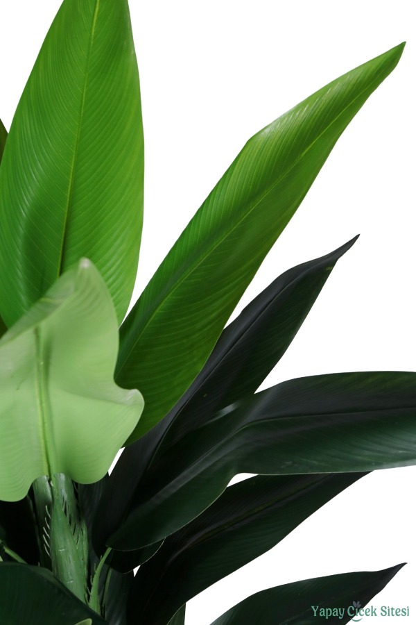 Plastik Küre Saksıda Yapay Starliçe Bitkisi 87 Cm - 5