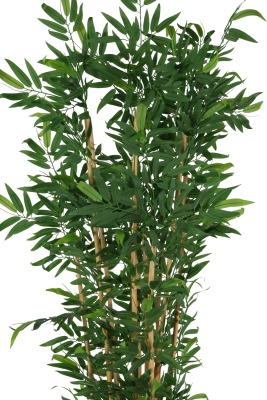 Plastik Saksıda10 Dallı Yapay Bambu Ağacı 230 cm - 2