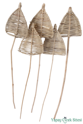 Rattan Spear Mızrak 55 Cm 5li - Yapay Çiçek Sitesi