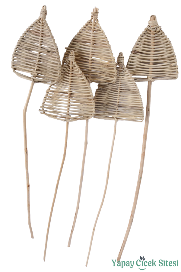 Rattan Spear Mızrak 55 Cm 5li - 1
