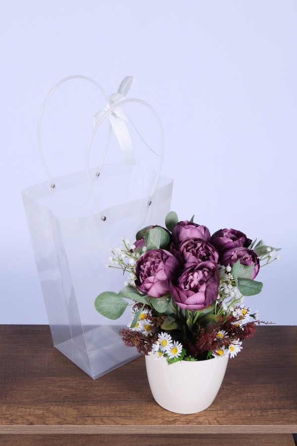 Saksılı Çiçek Aranjmanı (Şeffaf Çanta Hediyeli) Model 10 - 1