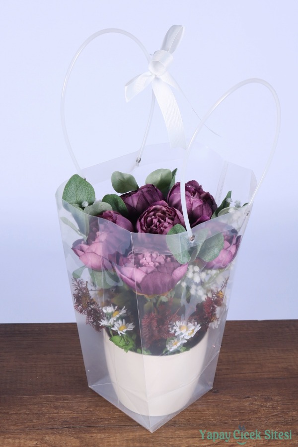 Saksılı Çiçek Aranjmanı (Şeffaf Çanta Hediyeli) Model 10 - 2