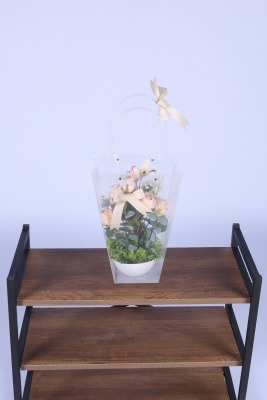 Saksılı Çiçek Aranjmanı (Şeffaf Çanta Hediyeli) Model 11 - 3