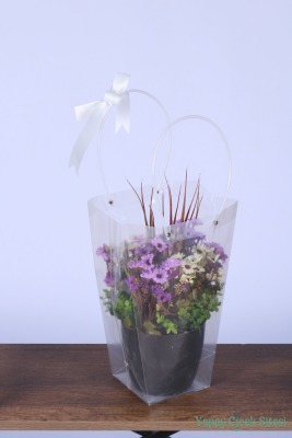 Saksılı Çiçek Aranjmanı (Şeffaf Çanta Hediyeli) Model 12 - 2