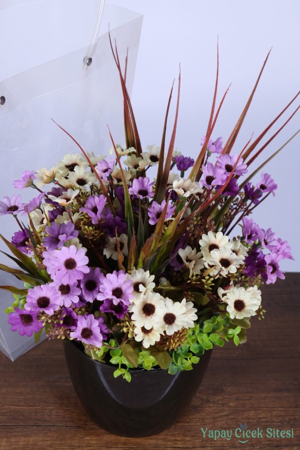 Saksılı Çiçek Aranjmanı (Şeffaf Çanta Hediyeli) Model 12 - 4