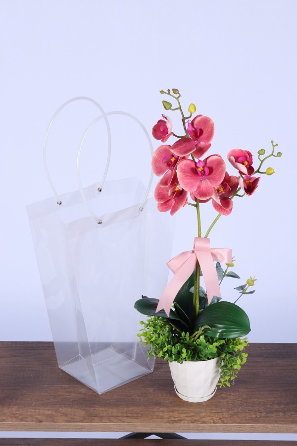 Saksılı Çiçek Aranjmanı (Şeffaf Çanta Hediyeli) Model 4 - 1