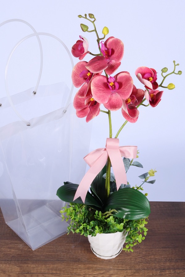 Saksılı Çiçek Aranjmanı (Şeffaf Çanta Hediyeli) Model 4 - 4