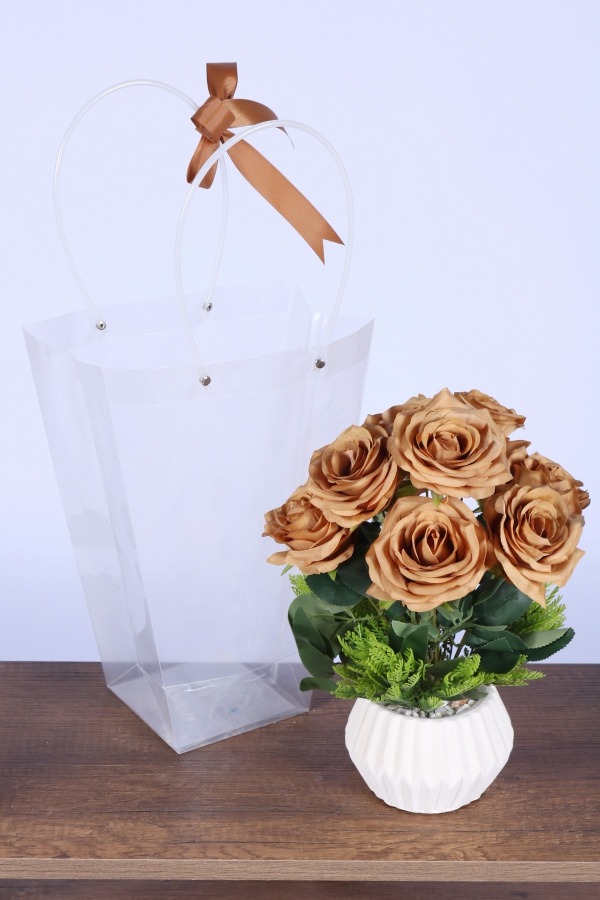 Saksılı Çiçek Aranjmanı (Şeffaf Çanta Hediyeli) Model 5 - 1