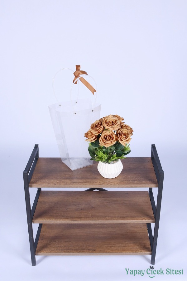 Saksılı Çiçek Aranjmanı (Şeffaf Çanta Hediyeli) Model 5 - 3