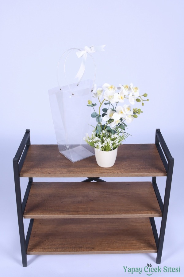 Saksılı Çiçek Aranjmanı (Şeffaf Çanta Hediyeli) Model 8 - 3