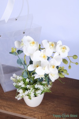 Saksılı Çiçek Aranjmanı (Şeffaf Çanta Hediyeli) Model 8 - 4