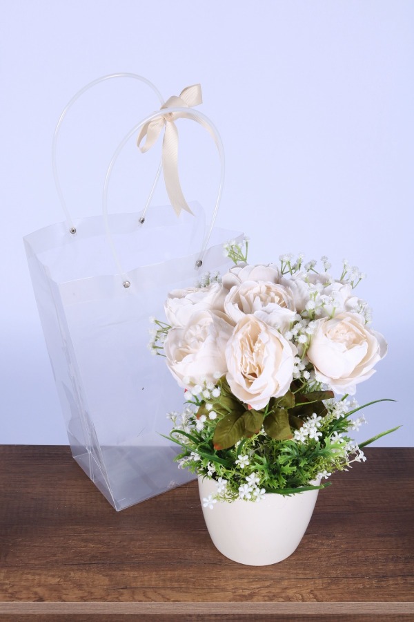 Saksılı Çiçek Aranjmanı (Şeffaf Çanta Hediyeli) Model 9 - 1