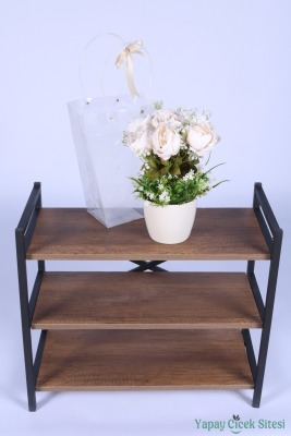 Saksılı Çiçek Aranjmanı (Şeffaf Çanta Hediyeli) Model 9 - 4