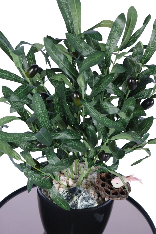Siyah Plastik Saksıda Yapay Zeytin Ağacı 50 cm - 3