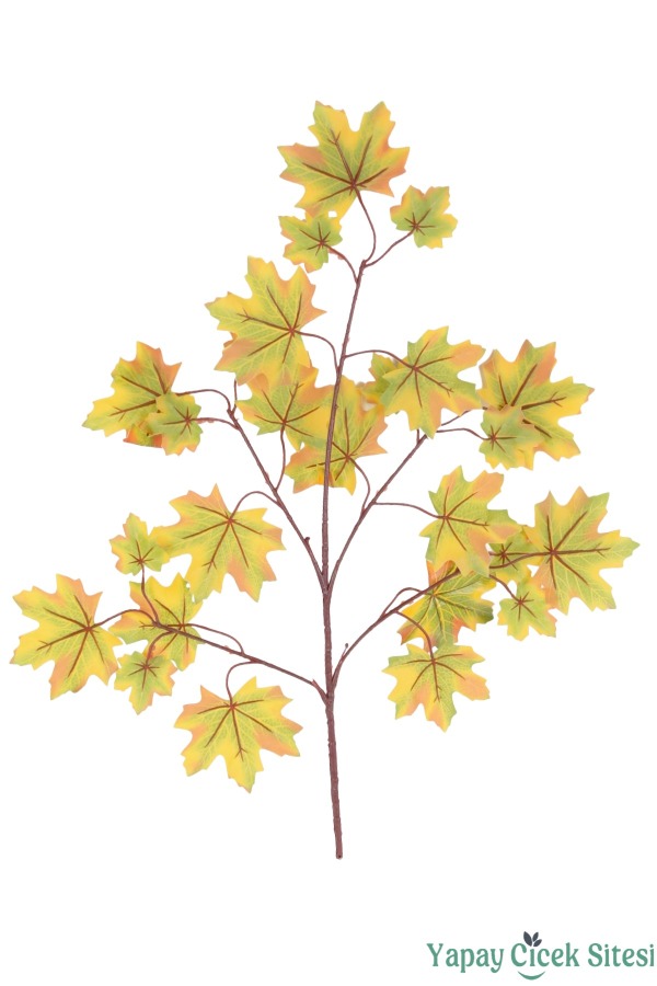 Yapay Akça Ağacı Dalı 25 Yapraklı 70 Cm 12 Adet Yeşil-Sarı - 2