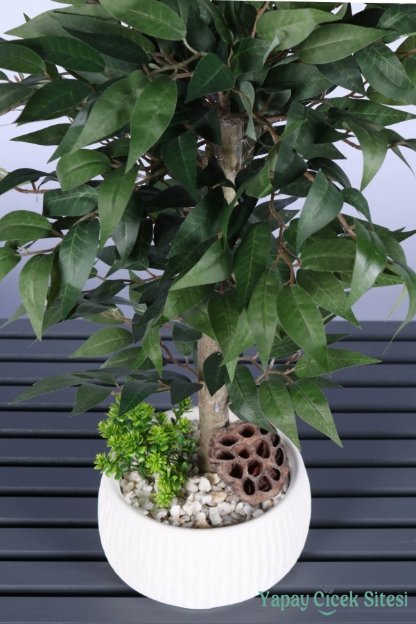 Yapay Premium Yapraklı Benjamin Ağacı Tanzimi 55 cm - 3