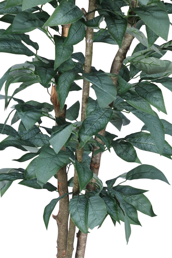 Yapay Ceviz Ağacı 3 Gövdeli 200 Cm Koyu Yeşil - 2