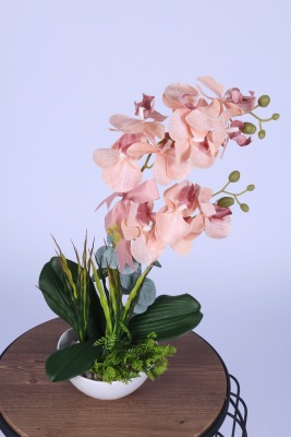 Yapay Çiçek Sitesi Dekoratif Melamin Saksıda Bol Yeşillikli Orkide Tanzimi Açık Pembe - 3