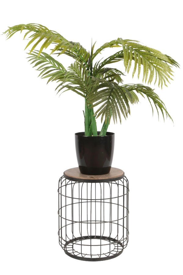 Yapay Çiçek Sitesi Siyah Plastik Saksıda Yapay Areka Ağacı 100 cm - 1