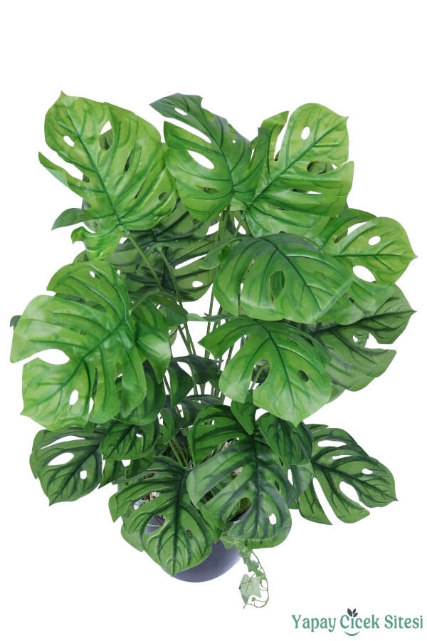 Yapay Deve Tabanı Bitkisi 85 cm - 2