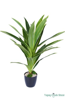 Plastik Saksıda Dracena Ağacı Limon Yeşili 105 cm - Yapay Çiçek Sitesi