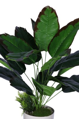 Yapay Mini Muz Tanzimi 65 cm - 2